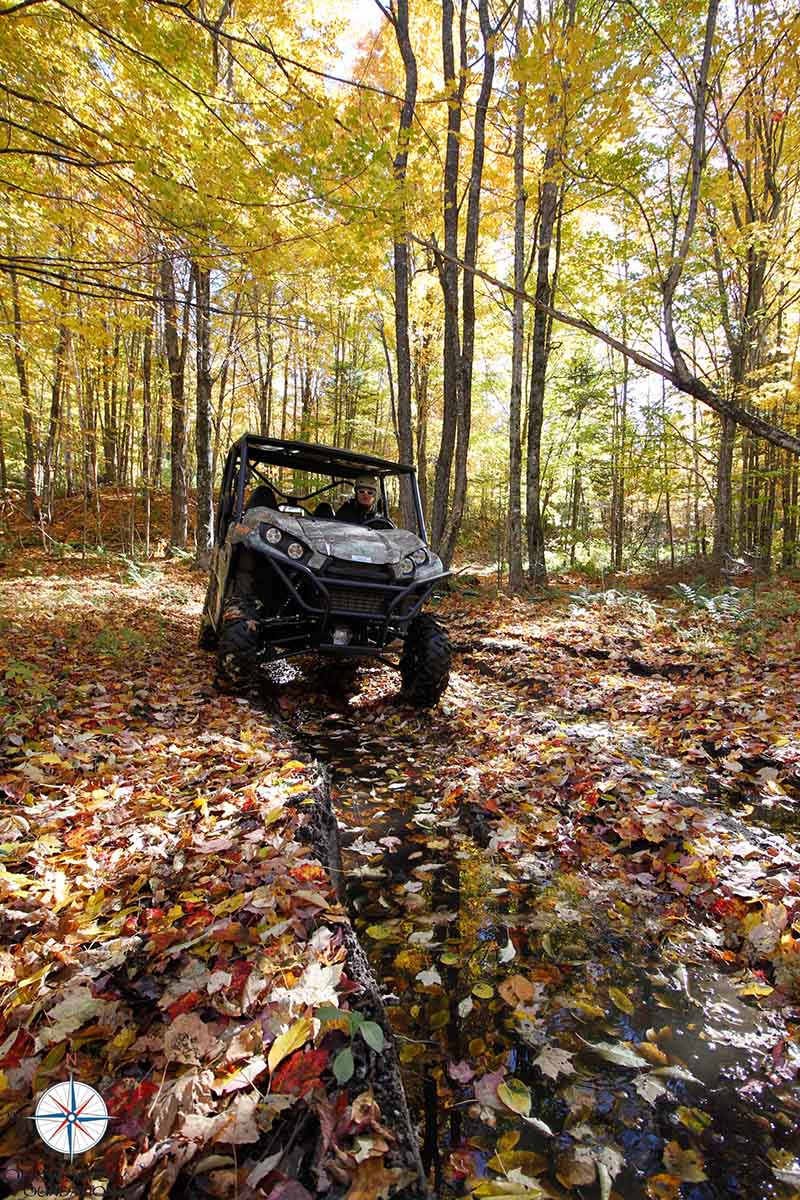 ATV on a trail through a forest with autumn leaves
